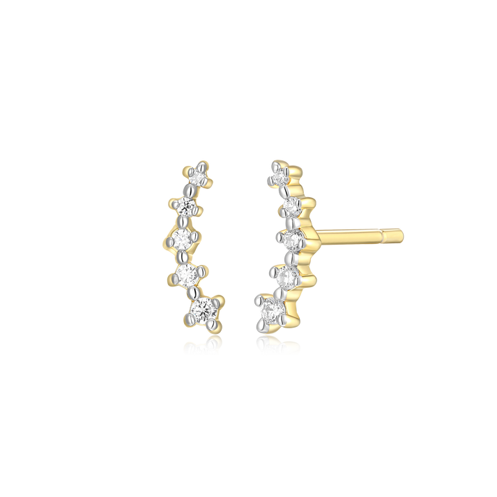 Gold-Plated Sterling Silver Earrings
